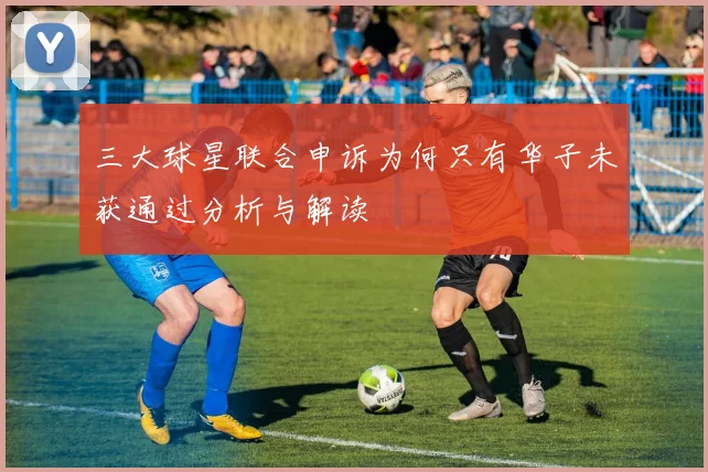 三大球星联合申诉为何只有华子未获通过分析与解读